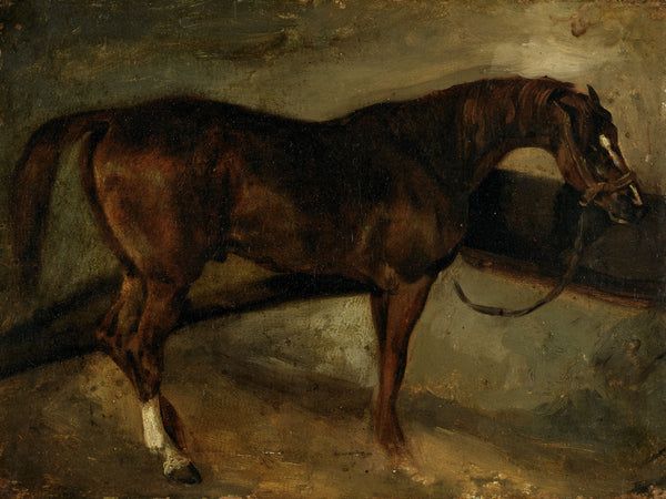 Caballo Castaño